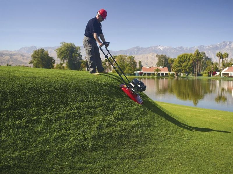 Toro 02616 46cm HoverPro 450 Professional Hover Mower Toro 02616 46cm HoverPro 450 Professional Hover Mower