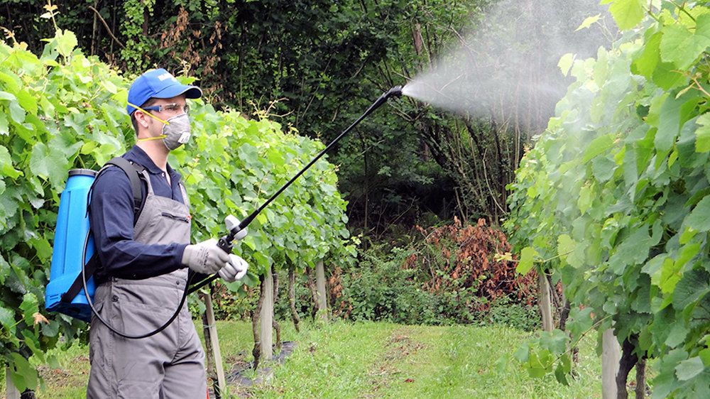Matabi Evolution 20 Super Knapsack Sprayer 20 Litre Matabi Evolution 20 Super Knapsack Sprayer 20 Litre