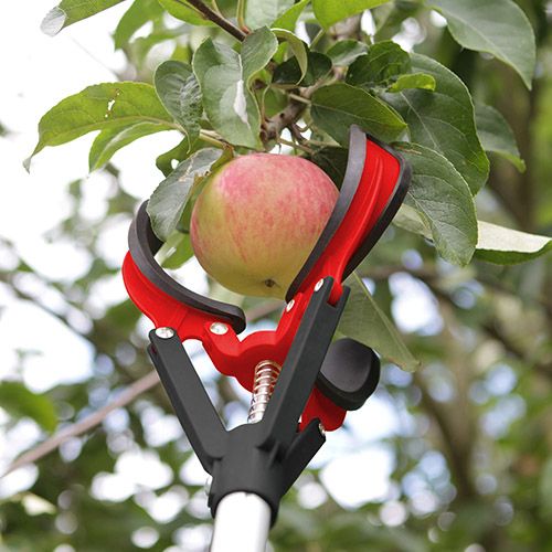 Darlac Telescopic Fruit Grabber