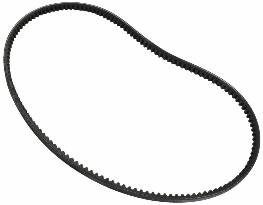 Qualcast / Suffolk Punch / Atco Toothed Drive Belt for Petrol Cylinder Mowers F016A57940 / F016A58728 Qualcast / Suffolk Punch / Atco Toothed Drive Belt for Petrol Cylinder Mowers F016A57940 / F016A58728