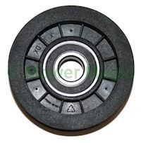 25601554/0 IDLER PULLEY-PLASTIC