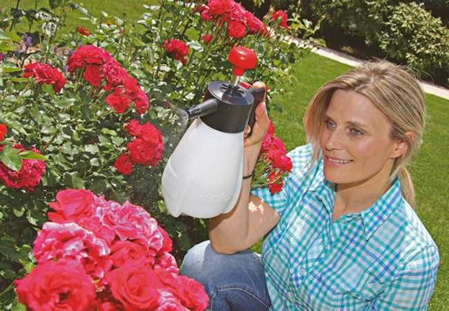 SOLO 403 Garden Sprayer 1.25 Litre c/w Adjustable Nozzle SOLO 403 Garden Sprayer 1.25 Litre c/w Adjustable Nozzle
