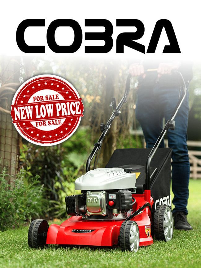 Cobra M41C Push Petrol Lawnmower 41cm / 98.5cc - Gardeners World Best Buy