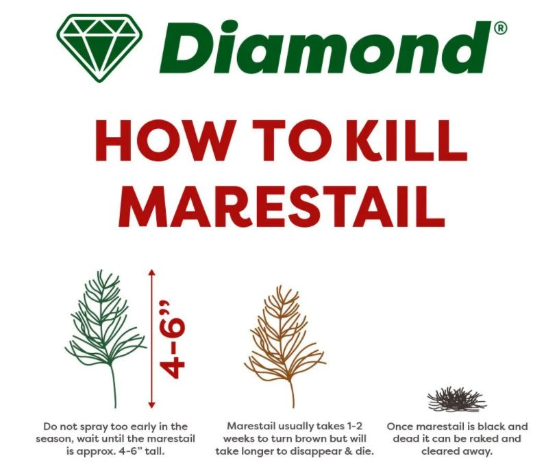 Diamond Horse Tail Total Weed Control 5L Diamond Horse Tail Total Weed Control 5L