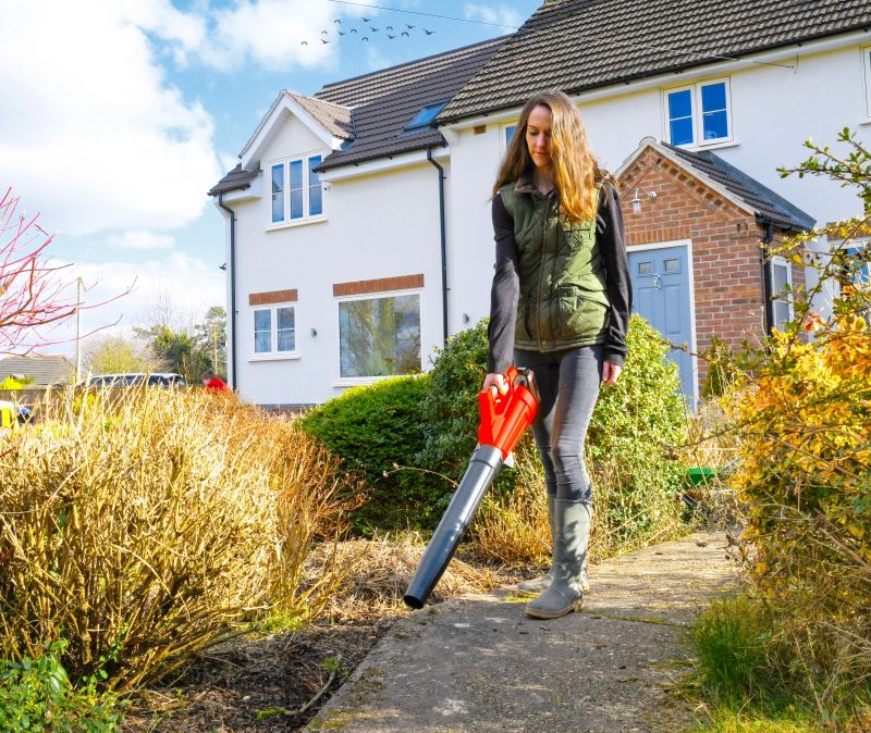 Cobra LB45024V Cordless Leaf Blower 24v Cobra LB45024V Cordless Leaf Blower 24v