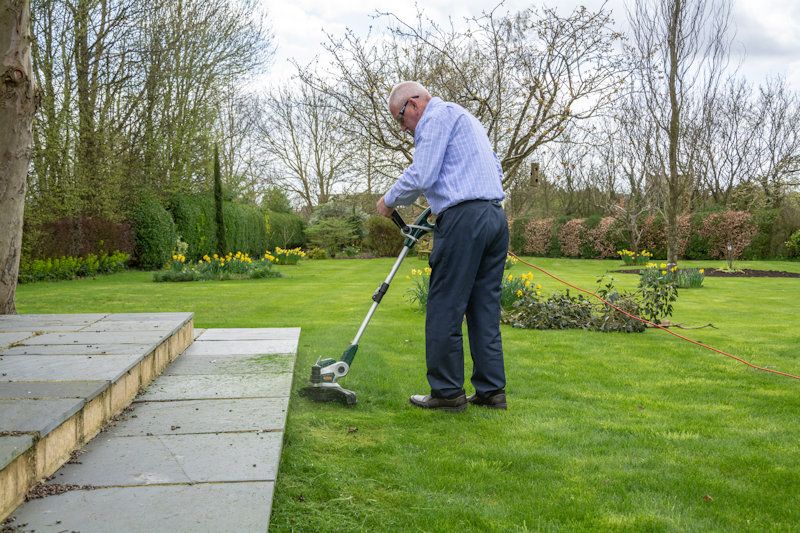 Webb Electric Grass Trimmer Edger 650w / 29cm ELT650 Webb Electric Grass Trimmer Edger 650w / 29cm ELT650