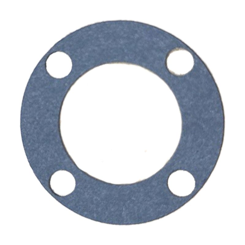 Ambrogio Gasket Guarnizione L25Z05700A Ambrogio Gasket Guarnizione L25Z05700A