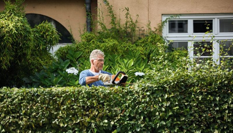 STIHL 18v Li-Ion Hedge Trimmer 50cm 24mm KIT STIHL 18v Li-Ion Hedge Trimmer 50cm 24mm KIT