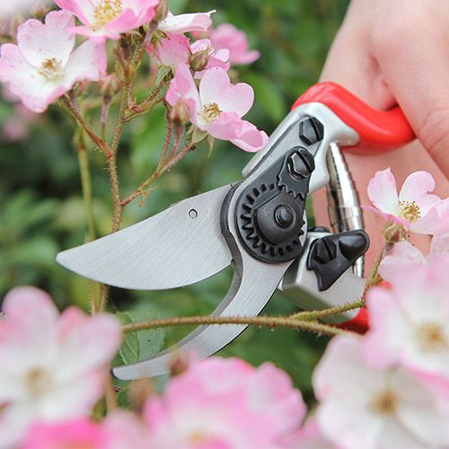 Darlac Expert Bypass Pruner Secateurs Darlac Expert Bypass Pruner Secateurs