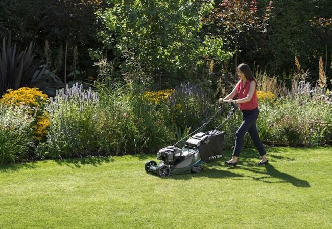 Hayter Harrier 41 Petrol Roller Lawnmower - 41cm / Push Hayter Harrier 41 Petrol Roller Lawnmower - 41cm / Push