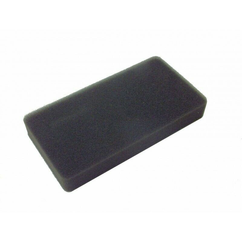 25100134901 Cobra Air Filter DG450 25100134901 Cobra Air Filter DG450