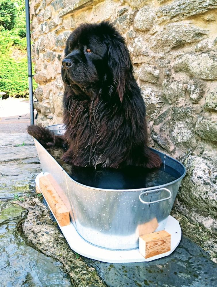 Sherpa 36in Galvanised Tin Bath Sherpa 36in Galvanised Tin Bath