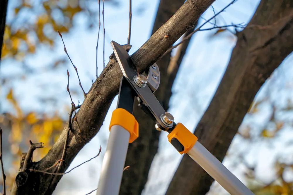 Stiga Anvil Loppers