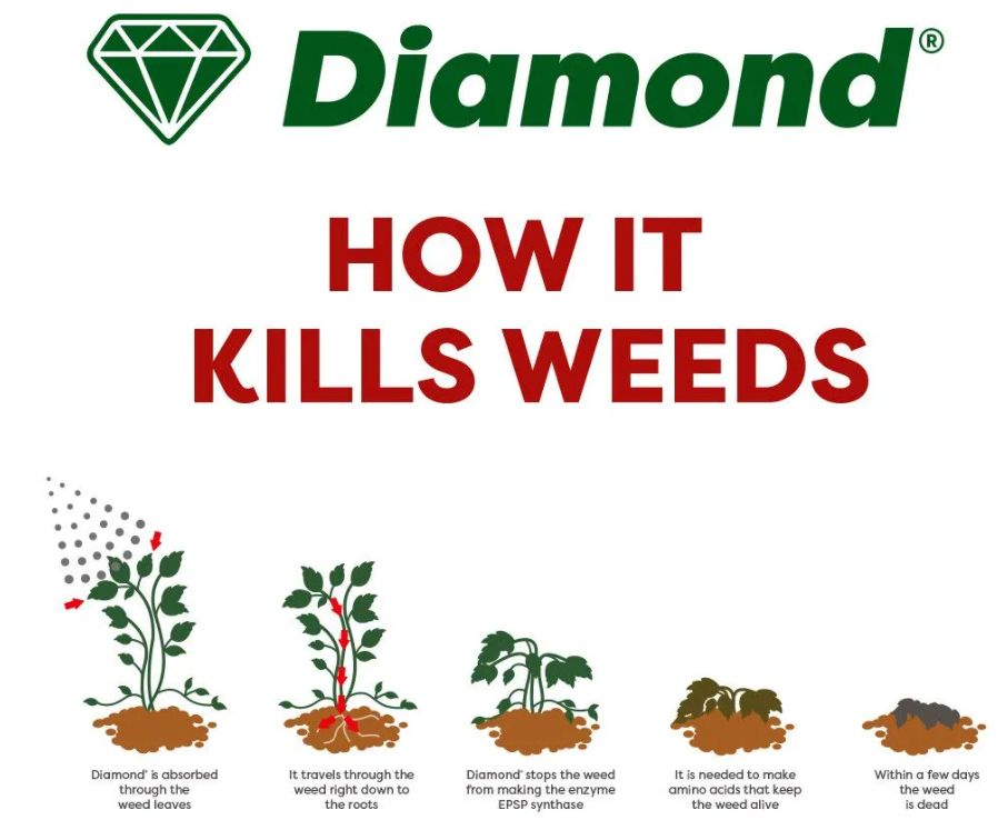 Diamond Horse Tail Total Weed Control 5L Diamond Horse Tail Total Weed Control 5L