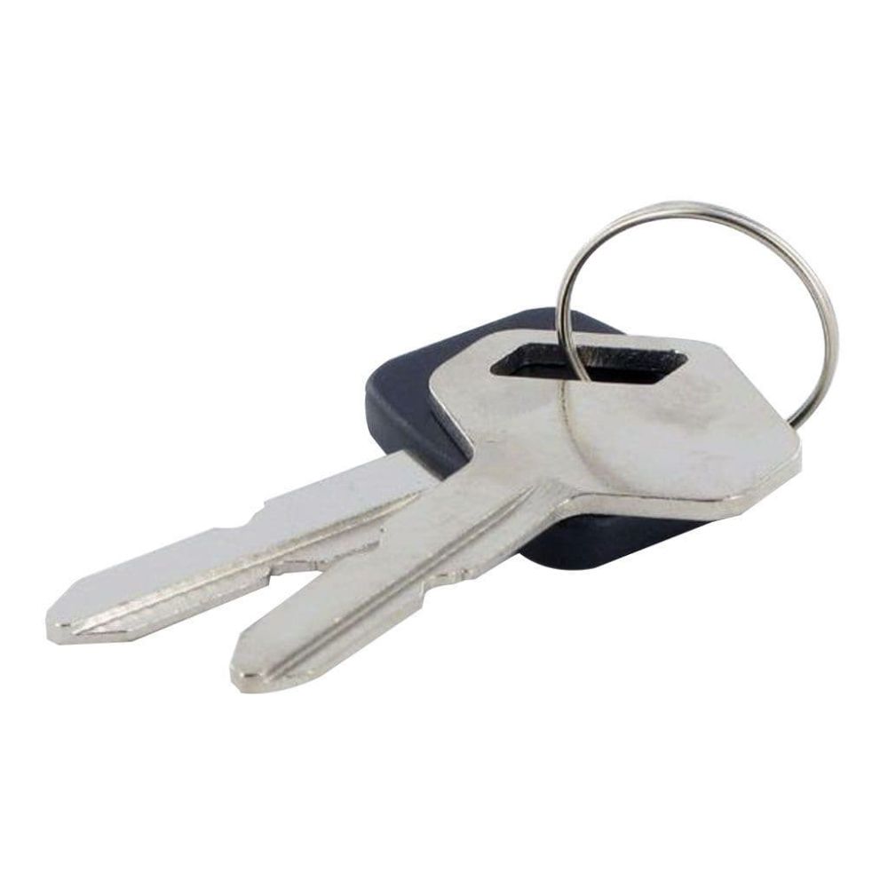 118210023/0 Set of 2 Ignition Keys for Ride-On 118210023/0 Set of 2 Ignition Keys for Ride-On
