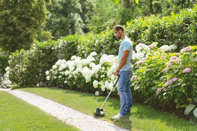 Bosch UniversalGrassCut 1826 Cordless Grass Trimmer 18v / 26cm Bosch UniversalGrassCut 1826 Cordless Grass Trimmer 18v / 26cm