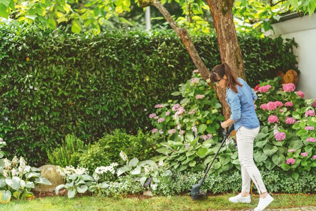 Bosch EasyGrassCut 26 Electric Grass Trimmer 280w / 26cm Bosch EasyGrassCut 26 Electric Grass Trimmer 280w / 26cm