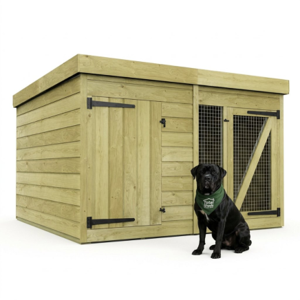 6 x 6 Dog Kennel And Run