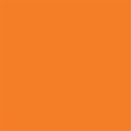 Padagas Orange Paint  400ml Enamel Aerosol