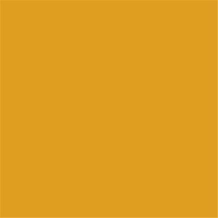 Wright Stander Yellow Paint  400ml Enamel Aerosol