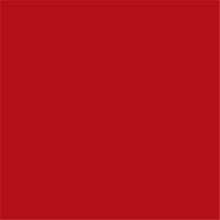 Toro Red (Current) Paint  400ml Enamel Aerosol
