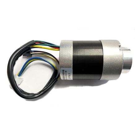 Ambrogio Blade Motor C02362 (c02362_25_r) (Motore Lama )