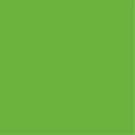 GreenMech Green Paint  400ml Enamel Aerosol