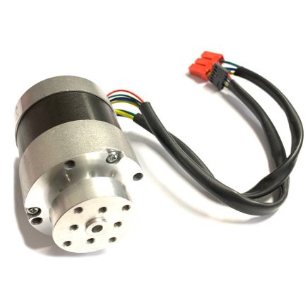 Ambrogio Blade Motor C02264_R       (Motore Lama)