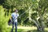 Mountfield MPP 50 Li Cordless Long Reach Pole Pruner 48v (Bare Tool)
