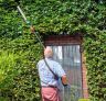 Webb 20VPHTB2 Cordless Long Reach Hedge Trimmer 20v / 50cm Webb 20VPHTB2 Cordless Long Reach Hedge Trimmer 20v / 50cm
