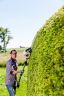 AL-KO Energy Flex Multi-Tool Hedge Trimmer Attachment