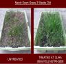 Nutrigem 15-15-15 Foliar Liquid Fertiliser 10L Nutrigem 15-15-15 Foliar Liquid Fertiliser 10L
