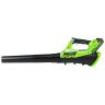 Greenworks G40AB Cordless Axial Leaf Blower Kit 40v / 2Ah Greenworks G40AB Cordless Axial Leaf Blower Kit 40v / 2Ah