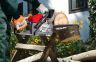 Mitox 455CSX Premium Petrol Chainsaw 46cm / 45.4cc Mitox 455CSX Premium Petrol Chainsaw 46cm / 45.4cc