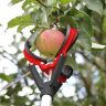 Darlac Telescopic Fruit Grabber
