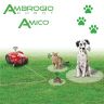 Ambrogio Amico Pet Safe Smart Tag Ambrogio Amico Pet Safe Smart Tag
