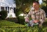 EGO Cordless Hedgecutter 65cm / 56v (without Battery)  HT6500E