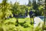 Greenworks GD24X2LT Cordless Grass Trimmer (Tool Only) 48V (2 x 24V) / 33cm Greenworks GD24X2LT Cordless Grass Trimmer (Tool Only) 48V (2 x 24V) / 33cm