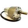 Mammotion Lifting motor Mammotion Lifting motor