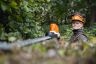 STIHL 36v Li-Ion L/Reach Telescopic H/Trimmer 50cm Cut STIHL 36v Li-Ion L/Reach Telescopic H/Trimmer 50cm Cut