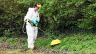 Herbi Duo Electric Handheld CDA Sprayer for Herbicides 12 Litre / 6v Herbi Duo Electric Handheld CDA Sprayer for Herbicides 12 Litre / 6v