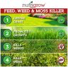 NutriGrow Weed, Feed & Moss Killer Granular Fertiliser 20kg NutriGrow Weed, Feed & Moss Killer Granular Fertiliser 20kg