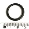 To Clear - Special Price - F016A75826 O-Ring 20MM I/D X 3MM SEC To Clear - Special Price - F016A75826 O-Ring 20MM I/D X 3MM SEC
