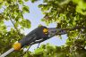 Stiga PS 700e Cordless Pole Pruner 48v / 270cm (Bare Tool)