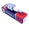 Champion Spark Plug RJ17LM Champion Spark Plug RJ17LM