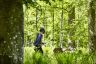 Greenworks GD60PS25 Cordless Long Reach Polesaw Pruner 60V / 25cm DigiPro (Tool Only) Greenworks GD60PS25 Cordless Long Reach Polesaw Pruner 60V / 25cm DigiPro (Tool Only)