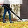 Scheppach LB5200BP Backpack Leaf Blower, 1.9hp Petrol Engine, 1080m³/h Airflow, 295km/h Air Speed Scheppach LB5200BP Backpack Leaf Blower, 1.9hp Petrol Engine, 1080m³/h Airflow, 295km/h Air Speed