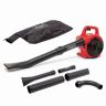 Scheppach LBH2600P 4-in-1 Leaf Blower Vacuum Shredder, 1.0hp Petrol Engine, 678m³/h Airflow, 268km/h Air Speed, 50L Collection Bag