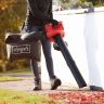 Scheppach LBH2600P 4-in-1 Leaf Blower Vacuum Shredder, 1.0hp Petrol Engine, 678m³/h Airflow, 268km/h Air Speed, 50L Collection Bag