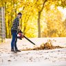 Scheppach LBH2600P 4-in-1 Leaf Blower Vacuum Shredder, 1.2hp Petrol Engine, 790m³/h Airflow, 260km/h Air Speed, 50L Collection Bag